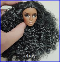 Fashion OOAK Adele Head Doll FR Royalty Barbie Integrity Toys