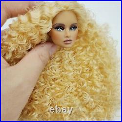 Fashion OOAK Erin Head Doll Royalty Barbie Integrity Toys Silkstone Poppy parker