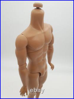 Fashion Royalty Latino Skin Homme1.5 Integrity Toys Articulation Male Doll Body