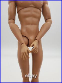 Fashion Royalty Latino Skin Homme1.5 Integrity Toys Articulation Male Doll Body