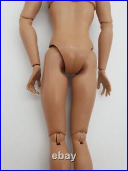 Fashion Royalty Latino Skin Homme1.5 Integrity Toys Articulation Male Doll Body