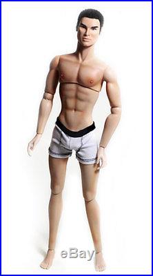 OOAK Integrity Fashion Royalty Nigel Homme Doll Repaint-Anatomically Correct