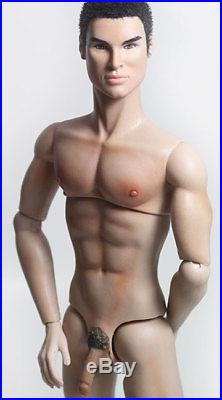 OOAK Integrity Fashion Royalty Nigel Homme Doll Repaint-Anatomically Correct